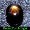 1.39 Ct. Oval Cab Natural Black Star Sapphire 6 Rays