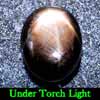 2.98 Ct. Oval Cab Natural Black Star Sapphire 6 Rays