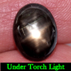 3.71 Ct. Oval Cab Natural Black Star Sapphire 6 Rays