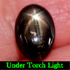 3.21 Ct. Oval Cab Natural Black Star Sapphire 6 Rays