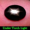 2.89 Ct. Oval Cab Natural Black Star Sapphire 6 Rays