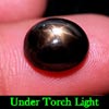 Unheated 8.51 Ct. Oval Cabochon Natural Gemstone Black Star Sapphire 6 Rays