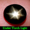 2.87 Ct. Oval Cab Natural Black Star Sapphire 6 Rays