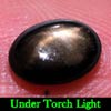 1.91 Ct. Oval Cab Natural Black Star Sapphire 6 Rays