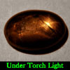 1.33 Ct. Oval Cab Natural Black Star Sapphire 6 Rays