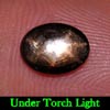 1.50 Ct. Oval Cab Natural Black Star Sapphire 6 Rays