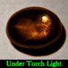 1.71 Ct. Oval Cab Natural Black Star Sapphire 6 Rays