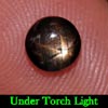 1.31 Ct. Round Cab Natural Black Star Sapphire 6 Rays