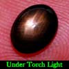 Oval Cab 1.11 Ct. Natural Black Star Sapphire 6 Rays