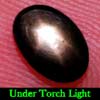 Oval Cab 1.01 Ct. Natural Black Star Sapphire 6 Rays