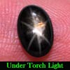 1.70 Ct. Oval Cab Natural Black Star Sapphire 6 Rays