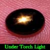 Oval Cab 1.95 Ct. Natural Black Star Sapphire 6 Rays