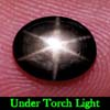 Oval Cab 1.40 Ct. Natural Black Star Sapphire 6 Rays