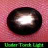 Oval Cab 1.28 Ct. Natural Black Star Sapphire 6 Rays
