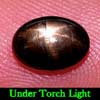 1.91 Ct. Oval Cab Natural Black Star Sapphire 6 Rays