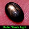 1.20 Ct. Oval Cab Natural Black Star Sapphire 6 Rays