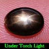 Oval Cab 2.70 Ct. Natural Black Star Sapphire 6 Rays