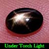 Oval Cabochon 1.71 Ct. Natural Black Star Sapphire 6 Rays
