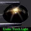 2.73 Ct. Oval Cab Natural Black Star Sapphire 6 Rays