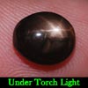 2.86 Ct. Oval Cab Natural Black Star Sapphire 6 Rays
