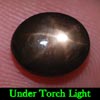2.53 Ct. Oval Cab Natural Black Star Sapphire 6 Rays