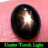2.81 Ct. Oval Cabochon Natural Black Star Sapphire 6 Rays