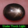 2.01 Ct. Oval Cab Natural Black Star Sapphire 6 Rays