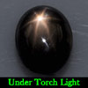 2.42 Ct. Oval Cab Natural Black Star Sapphire 6 Rays