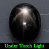 2.81 Ct. Oval Cab Natural Black Star Sapphire 6 Rays
