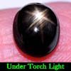 2.89 Ct. Oval Cab Natural Black Star Sapphire 6 Rays