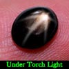 2.47 Ct. Oval Cab Natural Black Star Sapphire 6 Rays