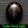 2.63 Ct. Oval Cab Natural Black Star Sapphire 6 Rays