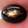 2.21 Ct. Oval Cab Natural Black Star Sapphire 6 Rays