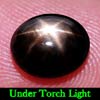 2.60 Ct. Oval Cab Natural Gem Black Star Sapphire 6 Rays