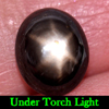 3.10 Ct. Oval Cabochon Natural Black Star Sapphire 6 Rays