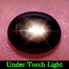 2.74 Ct. Oval Cab Natural Black Star Sapphire 6 Rays