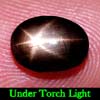 1.78 Ct. Oval Cab Natural Black Star Sapphire 6 Rays