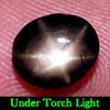 2.65 Ct. Oval Cab Natural Black Star Sapphire 6 Rays