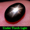2.84 Ct. Oval Cab Natural Black Star Sapphire 6 Rays