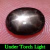1.62 Ct. Oval Cab Natural Black Star Sapphire 6 Rays