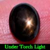 2.89 Ct. Oval Cab Natural Black Star Sapphire 6 Rays 2.89 Ct. Oval Cab Natural Black Star Sapphire 6 Rays