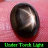 2.74 Ct. Oval Cab Natural Black Star Sapphire 6 Rays 2.74 Ct. Oval Cab Natural Black Star Sapphire 6 Rays