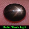 2.86 Ct. Oval Cab Natural Black Star Sapphire 6 Rays 2.86 Ct. Oval Cab Natural Black Star Sapphire 6 Rays