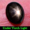 2.18 Ct. Oval Cab Natural Black Star Sapphire 6 Rays 2.18 Ct. Oval Cab Natural Black Star Sapphire 6 Rays