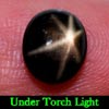 2.74 Ct. Oval Cab Natural Black Star Sapphire 6 Rays 2.74 Ct. Oval Cab Natural Black Star Sapphire 6 Rays
