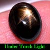 2.86 Ct. Oval Cab Natural Black Star Sapphire 6 Rays 2.86 Ct. Oval Cab Natural Black Star Sapphire 6 Rays