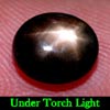 2.63 Ct. Oval Cab Natural Black Star Sapphire 6 Rays 2.63 Ct. Oval Cab Natural Black Star Sapphire 6 Rays