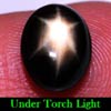 2.56 Ct. Oval Cab Natural Black Star Sapphire 6 Rays 2.56 Ct. Oval Cab Natural Black Star Sapphire 6 Rays