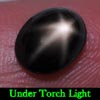 2.57 Ct. Oval Cab Natural Black Star Sapphire 6 Rays 2.57 Ct. Oval Cab Natural Black Star Sapphire 6 Rays