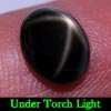 2.76 Ct. Oval Cab Natural Black Star Sapphire 6 Rays 2.76 Ct. Oval Cab Natural Black Star Sapphire 6 Rays